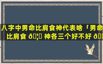 八字中男命比肩食神代表啥「男命比肩食 🦆 神各三个好不好 🌲 」